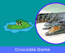 Fractions crocodile game online
